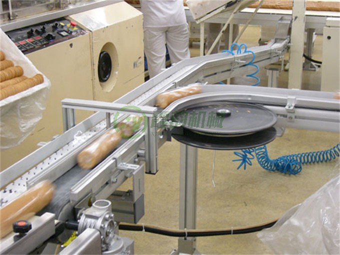 小袋式（shì）輸送流水線 (4)